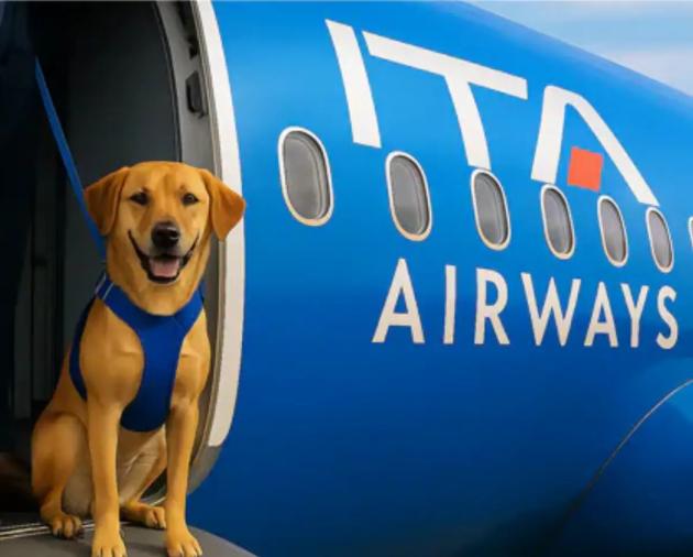 Cani di grande taglia in cabina aereo, domani il primo volo pet friendly in Italia