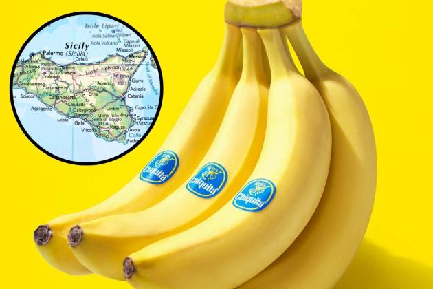 Chiquita realizzerà in Sicilia le prime piantagioni di banane made in Italy e le vendite a partire dal 2026