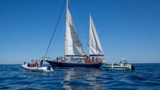 Freedom Flotilla, rimpatriati gli attivisti pro-Palestina del veliero Madleen, sequestrati da Israele in acque internazionali mentre diretti a Gaza con aiuti