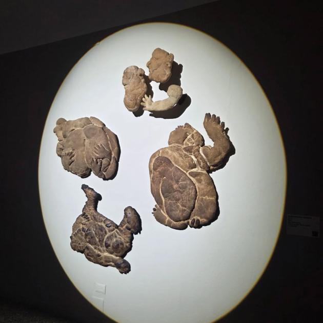 Premio Cairo 2025, il vincitore della 24esima edizione è Maria Giovanna Zanella con l’opera “Buoni”, realizzata con pane cotto a legna
