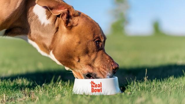 Real Bowl