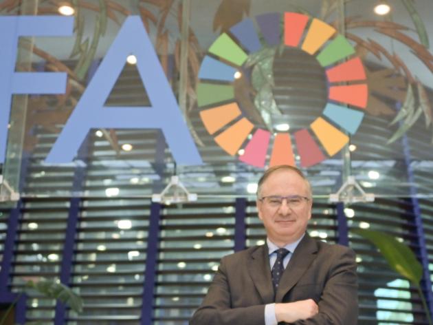 Gaza, Tajani nomina Bruno Archi “inviato speciale per la ricostruzione”: chi è l’ambasciatore Onu coinvolto nel progetto biennale per la Striscia