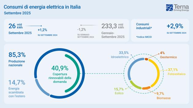 Terna, i dati della società  che gestisce la rete di trasmissione nazionale