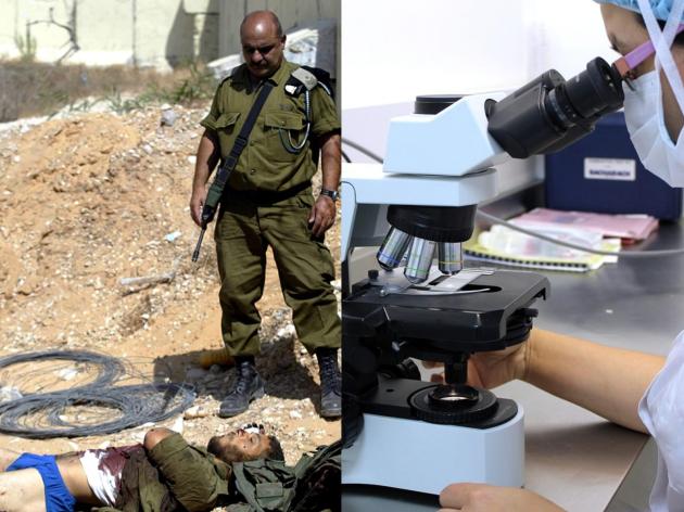 Israele "estrae sperma dai cadaveri dei soldati per permettere l'inseminazione artificiale e la prosecuzione delle famiglie, boom dal 7 ottobre 2023"