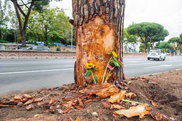 Incidente sulla Colombo a Roma, individuato il conducente dell'altra Bmw: "Non mi sono accorto di nulla, non stavamo gareggiando"