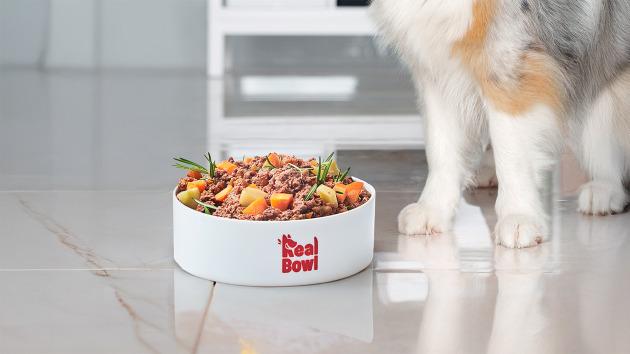 Real Bowl propone una dieta sana e  personalizzata per ogni animale domestico che arriva direttamente a casa 