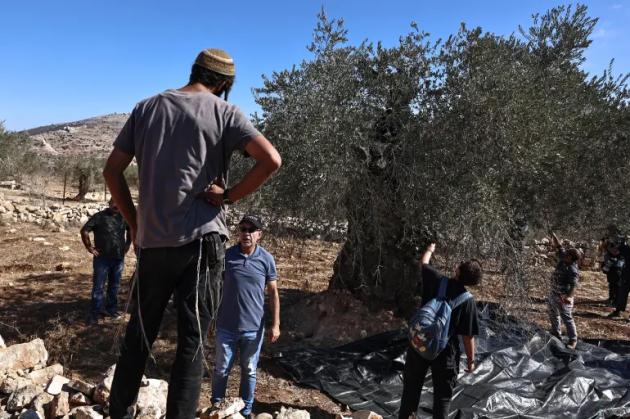 La violenza coloniale di Israele in Cisgiordania, espansionismo illegale, armato e brutale: 50 anni di violenta e vile occupazione