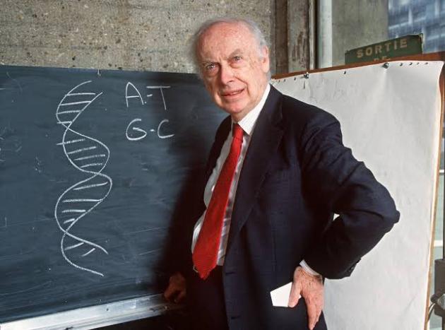 Addio a James Watson, morto a 97 anni “dopo ricovero per un’infezione” il Premio Nobel per la scoperta della struttura a doppia elica del DNA