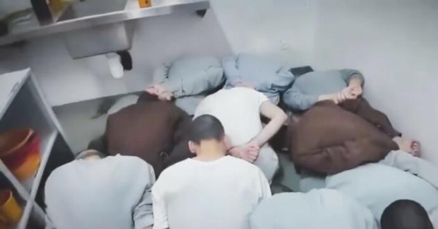  Israele, palestinesi detenuti sottoterra nel carcere di Rakefet: "Celle senza finestra e senza ventilazione, abusi fisici e niente cure mediche"