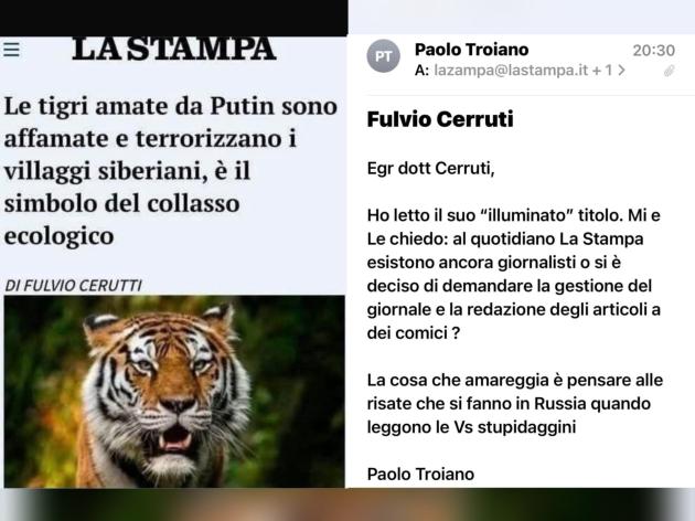 'Le tigri amate da Putin terrorizzano i villaggi, simbolo del collasso ecologico', si legge su La Stampa: redazione gestita da comici? Quante risate faranno in Russia!