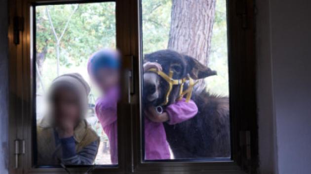 La famiglia nel bosco di Chieti: lo Stato coercitivo porta via i figli, e sembra di essere tornati di colpo al tempo del Green pass