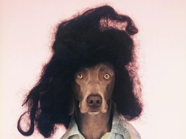 MIA PHOTO FAIR BNP Paribas 2026 celebra a Milano la 15ª edizione con 80.000 euro in premi, una preview riservata il 18 marzo e un nuovo focus sul tema Metamorfosi