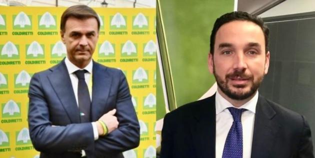 Coldiretti e Unaprol Importazioni di olio record a +78% nel 2025; prezzi dell’extravergine ai minimi storici degli ultimi tre anni