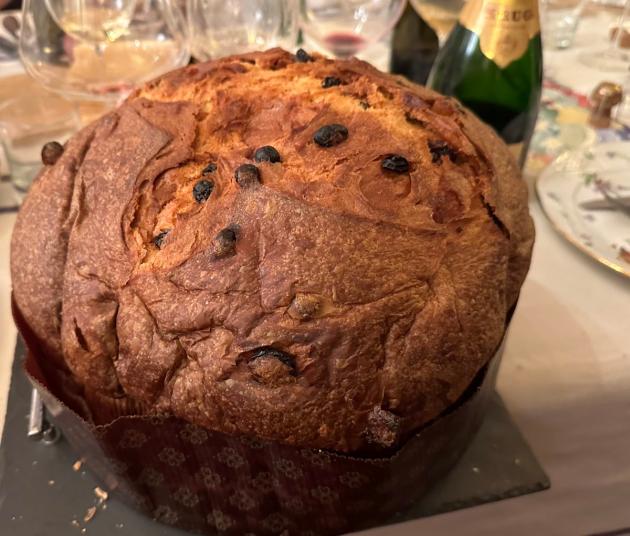 Panettone con farina di grillo in arrivo per Natale, dolce prodotto da azienda “Small Giants”, presente anche variante con larve croccanti al sale