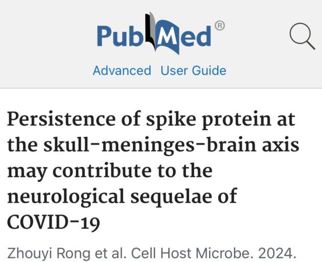 Studio tedesco vaccino Covid sequenze neurologiche