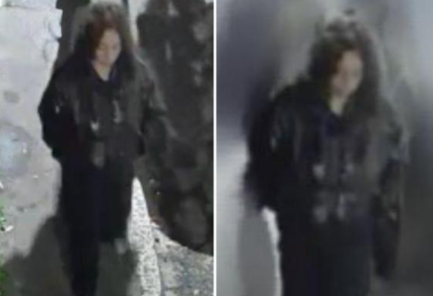 Milano, diffuse FOTO della donna trovata morta in via Paruta: "Ha tra i 25-30 anni, capelli scuri, pelle chiara, chi la riconosce chiami 112"