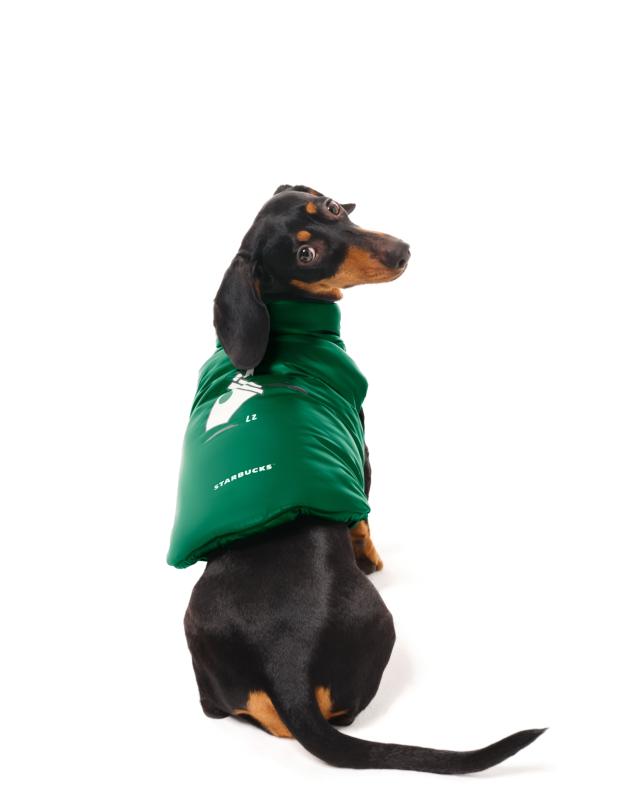 Starbucks lancia The House of Coffee, una nuova piattaforma culturale alla Starbucks Reserve Roastery di Milano