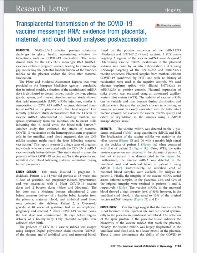 Vaccino Covid a mRNA pu&ograve; "diffondersi nella placenta e nei neonati delle donne vaccinate durante la gravidanza" - lo STUDIO Usa