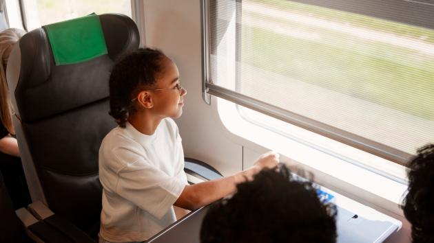 Francia, la compagnia ferroviaria SNCF lancia la carrozza Optimum Plus dove non possono viaggiare bambini