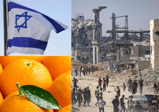 Boicottaggio di Israele, esportazioni agricole al collasso dopo genocidio a Gaza, tra i prodotti pi&ugrave; colpiti gli agrumeti e il mango
