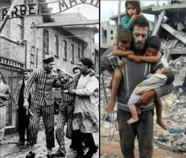 Il Giorno della Memoria e l'eredit&agrave; tradita del "Mai pi&ugrave;": voci ebraiche denunciano il genocidio a Gaza e la memoria selettiva