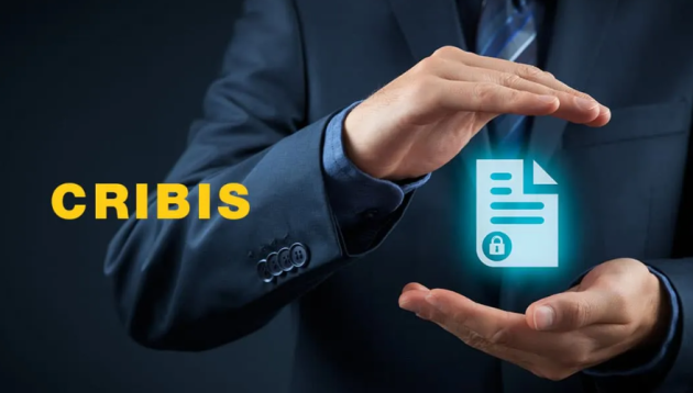  Cribis (CRIF), Osservatorio Start Up Innovative: nel 2025 imprese in calo di circa il 4% in Italia; focus su programmazione e ricerca 