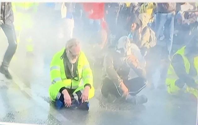 Proteste "no Green pass", tutti assolti i portuali di Trieste perch&eacute; "il fatto non sussiste", Puzzer: "La gente come noi non molla mai"