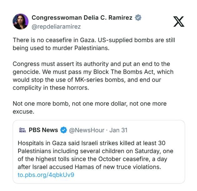 Delia Ramirez su Gaza