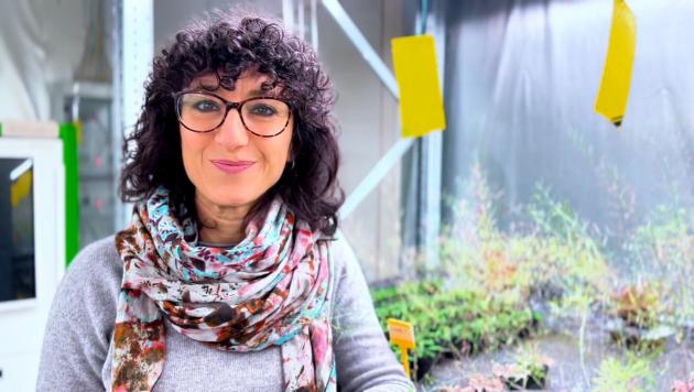 Santaniello: "JointLab tra Syngenta e Sant&rsquo;Anna; genomica e trascrittomica per nuovi biostimolanti; ricerca applicata contro stress climatici"