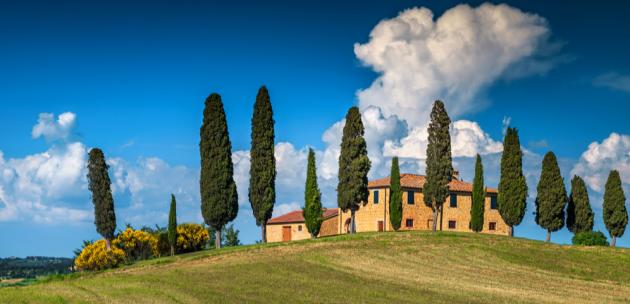 “Toscana Bella e Buona”. L’agroalimentare della Regione protagonista su intoscana.it 