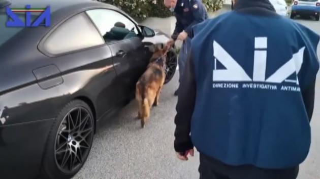 DIA, relazione in Parlamento: "'Ndrangheta dominatrice della scena criminale"