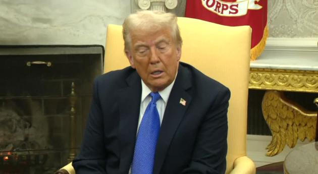 Ucraina, Trump annuncia: "Incontrerò Zelensky la prossima settimana", il presidente ucraino offre terre rare e gnl in cambio di "aiuti" militari - VIDEO