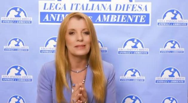 Animali, autorizzata nuova cura per peritonite infettiva felina. Brambilla: “Un’altra promessa mantenuta e tantissimi gatti salvati”