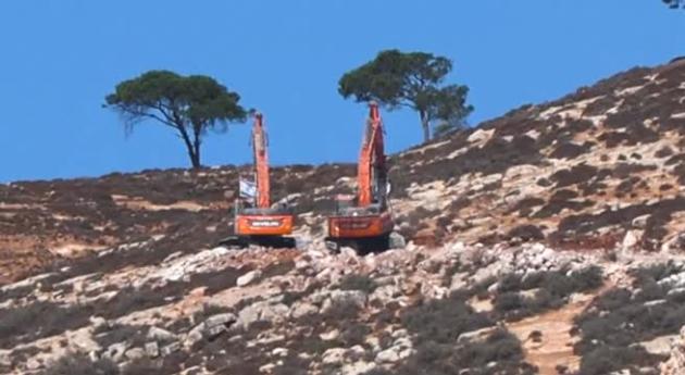 L'esercito israeliano ha tagliato i loro alberi: ora i palestinesi in Cisgiordania temono che il prossimo passo sarà il trasferimento forzato