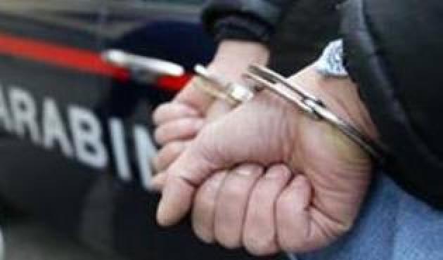 arresti camorra