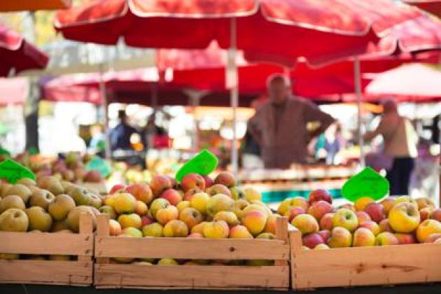 Lotta allo spreco, arriva l'app che recupera il cibo nei mercati milanesi