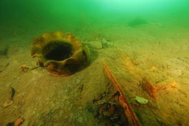 RisOrta, progetto pilota di biomonitoraggio con molluschi