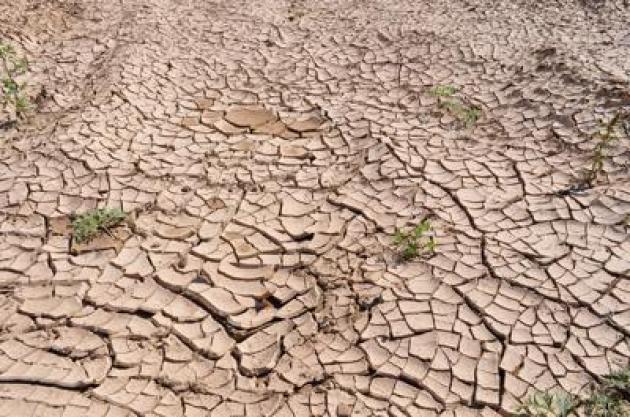 Siccità, la Pianura Padana è un deserto: a Rovigo risaie prosciugate, perso il 60% del raccolto