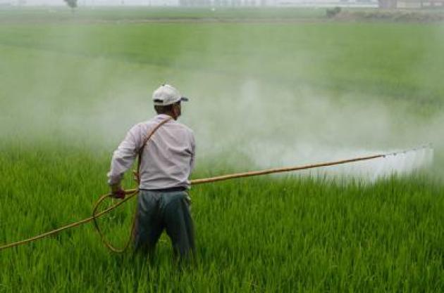 Pesticidi bannati in Ue ma venduti in 93 Stati a medio-basso reddito: export raddoppiato in 7 anni, Greenpeace: "Causano danni cerebrali e infertilità"