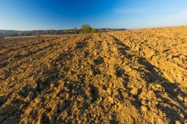 World Soil Day, i servizi fondamentali di un suolo sano