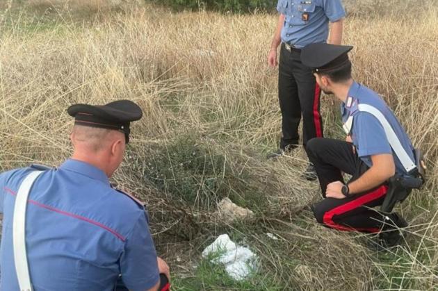 Novara, resti umani ritrovati in un bosco sono di Liliana Agnani: il figlio Stefano Garini indagato per omicidio