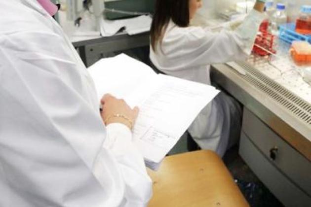 Salute in Italia: secondo il rapporto "Health at a Glance 2023" dell'OCSE, stiamo meglio di altri Paesi, ma spendiamo meno in prevenzione e cure. In dollari: 4.291 pro capite l’anno 