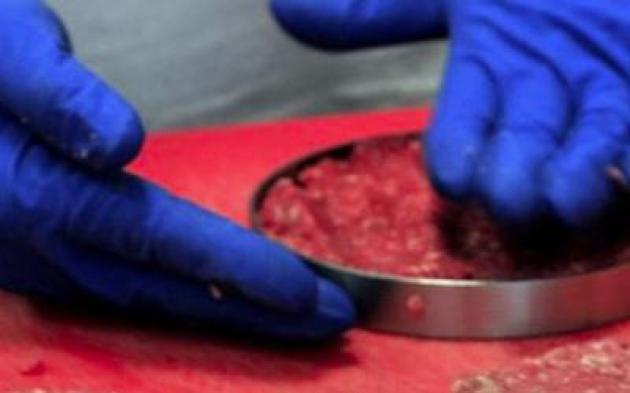 Senato approva Ddl contro il cibo sintetico: no a import, produzione e vendita, sì a ricerca. Caner: “Rischio allergie e tumori”