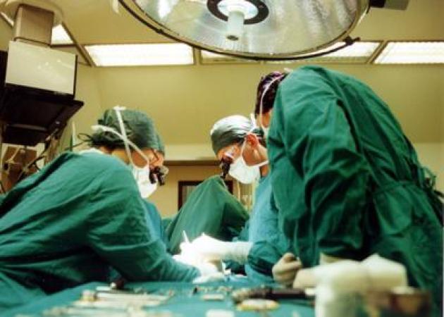 Cina, primo xenotrapianto su paziente vivo, fegato di maiale geneticamente modificato impiantato a 71enne: morto dopo 171 giorni
