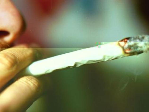 Cannabis, potenza in aumento: 5 cose da sapere su rischio psicosi