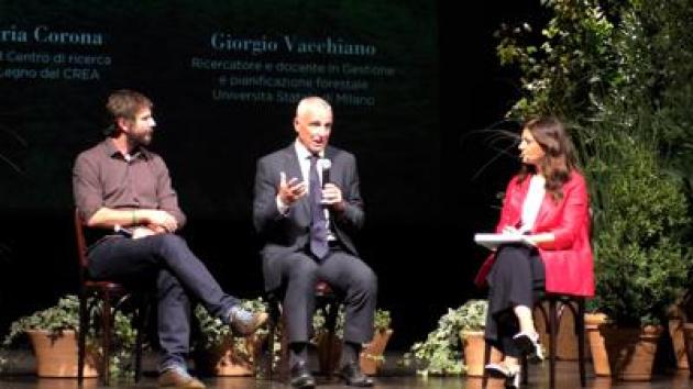 Corona (Crea): "Da situazione ambientale e geopolitica impatti su forniture del legno"