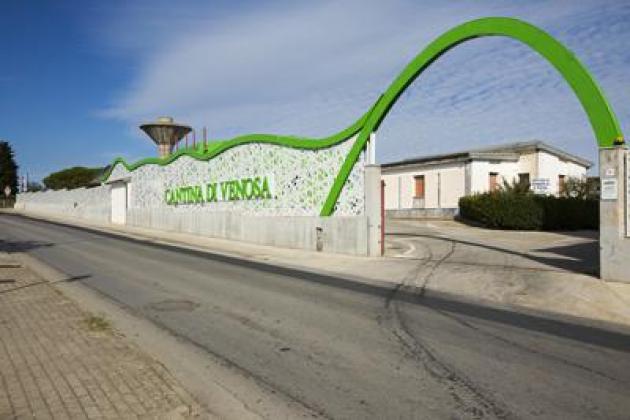 Vino, Cantina di Venosa investe 3,4 mln di euro per l'ampliamento e punta sull’enoturismo