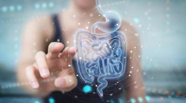 Medicina, scoperto perché asma e allergie alimentari cambiano, nascono da microbiota
