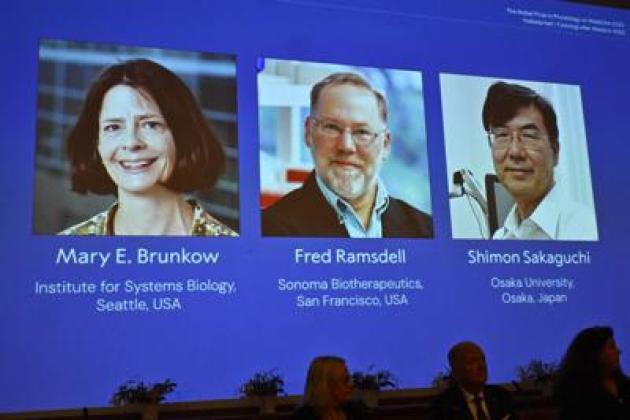 Nobel per la Medicina a Brunkow, Ramsdell e Sakaguchi: hanno scoperto la 'security' del sistema immunitario