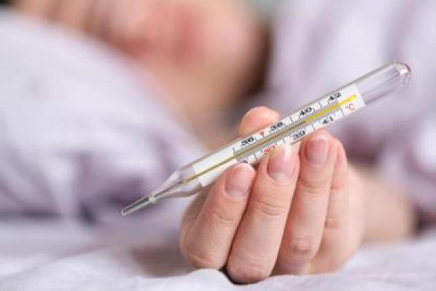 Influenza, l'allarme degli esperti: "Sarà intensa, possibili 15-16 milioni di casi"